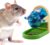 Rat Enrichment Toys, Interactive Foraging Toys For Rats, Intelligence Growth Rat Enrichment Puzzle Games, Treat Dispensing Slow Feeder for Rat Cage Toy, Bird Foraging Toy for Parakeet Conure (1Pcs)